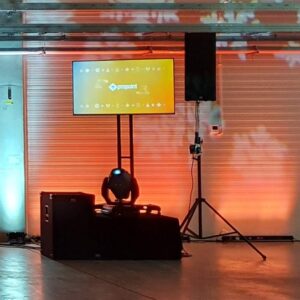 TV 55″ LED + statyw